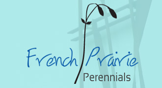 French Prairie Perennials