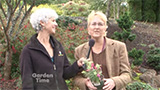 Oregon Garden Fuchsia Day