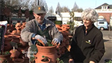 Planting a Strawberry Pot