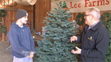 Lee's Christmas Trees