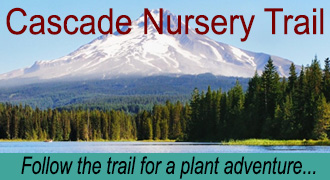 Cascade Nursery Trail