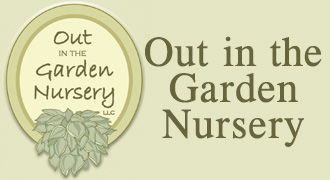 Out in the Garden Nursery