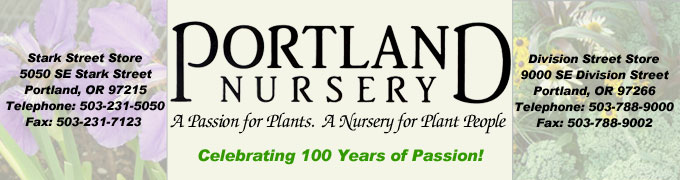 Portland Nursery