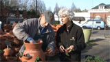 Planting a Strawberry Pot