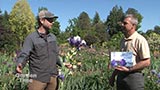 Schreiners Iris Gardens